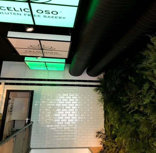 Insonorzacion Cafetería Celicioso